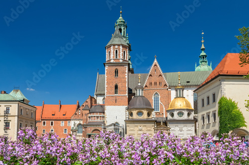 The Wawel Castle in Cracow