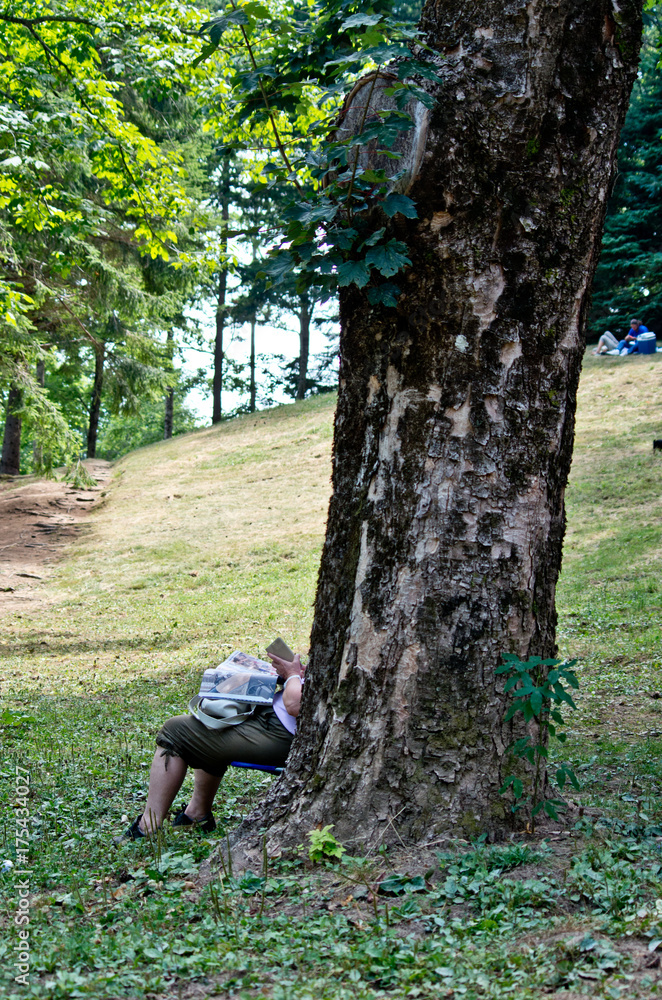 old woman reads magazine under a tree old woman reads magazine under a tree