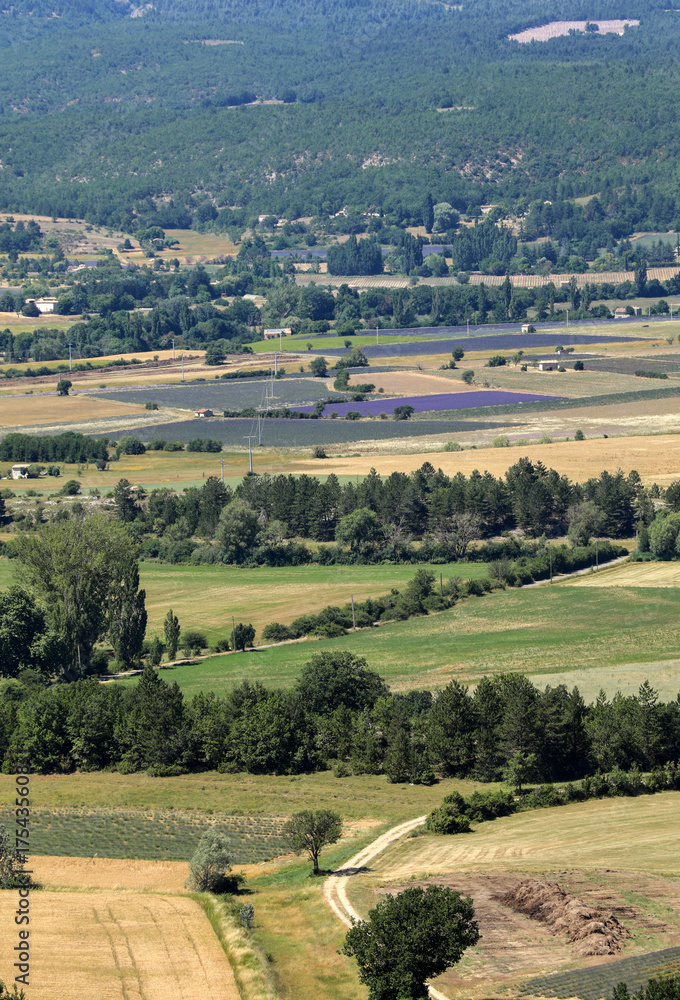 Patchwork of Farmer's fields in valley below Sault, Provence France