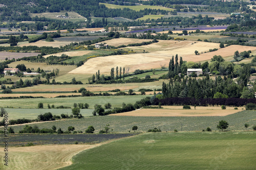 Patchwork of Farmer s fields in valley below Sault  Provence France