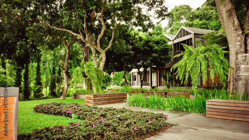The garden is decorated in tropical jungle style for relaxation.