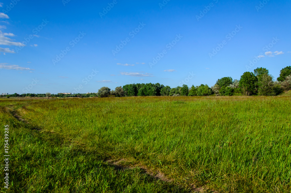 Wide green meadow
