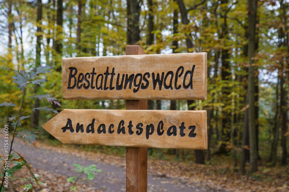 bestattungswald - friedhof