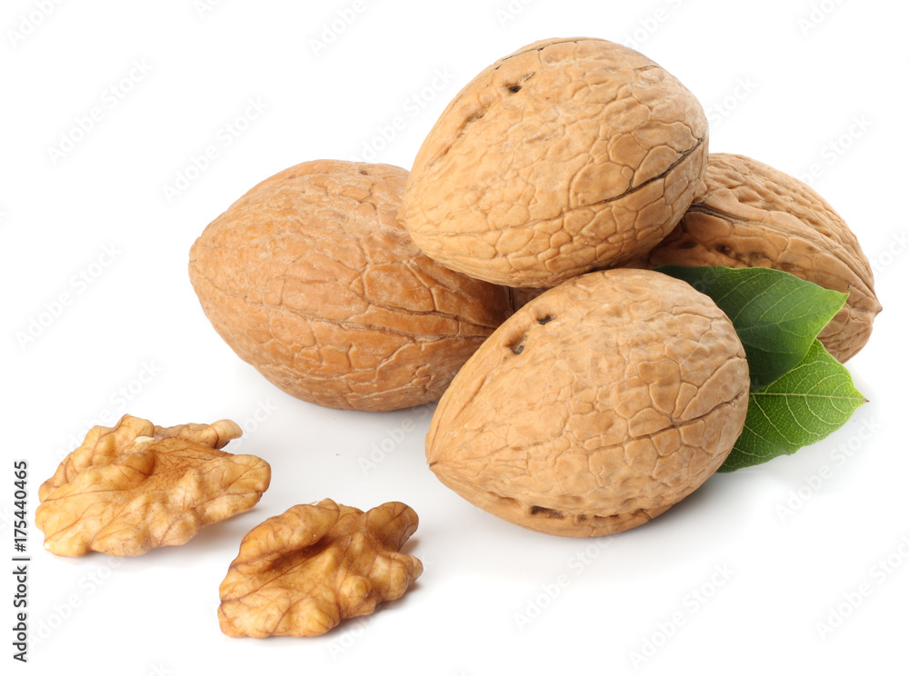 Green walnuts with leaves isolated on a white background Green walnuts with leaves isolated on a white background