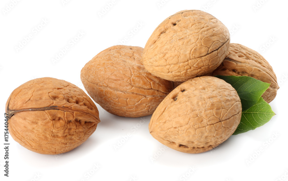 Green walnuts with leaves isolated on a white background Green walnuts with leaves isolated on a white background