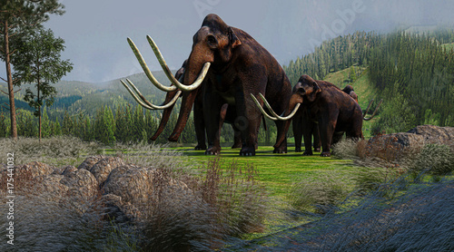 Mammut, Preistoria photo