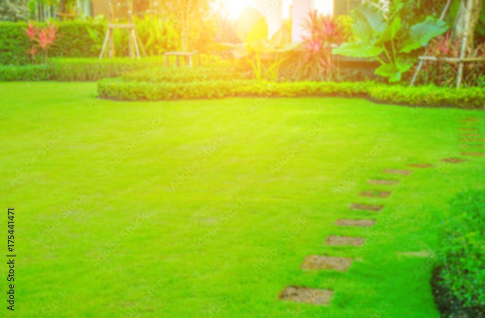 Blurred image Pathway in garden,green lawns with bricks pathways,garden landscape design