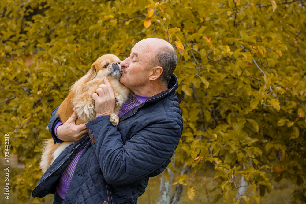 Senior man with a dog on a walk in city park having fun together. Old ...