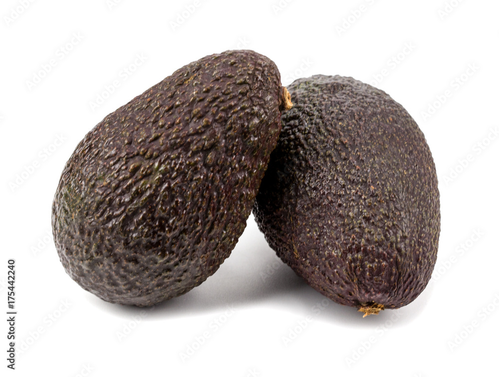 avocados on white background avocados on white background