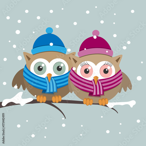 Couple of owls with scarf on a winter day