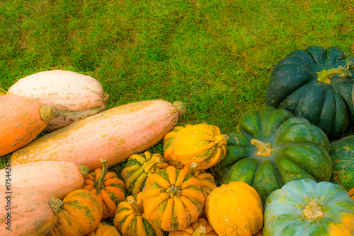 set of pumpkins