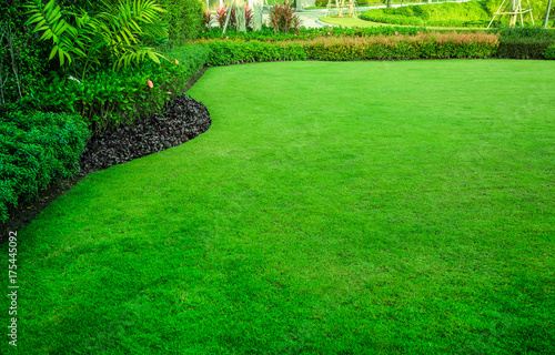 Decorative garden, Green lawn, the front lawn for background. photo