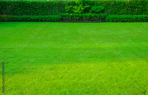 Green lawn, the front lawn for background,garden landscape design