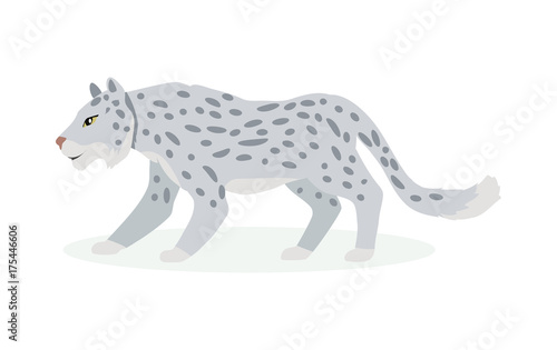 Snow Leopard Cartoon Flat  Vector Illustration 