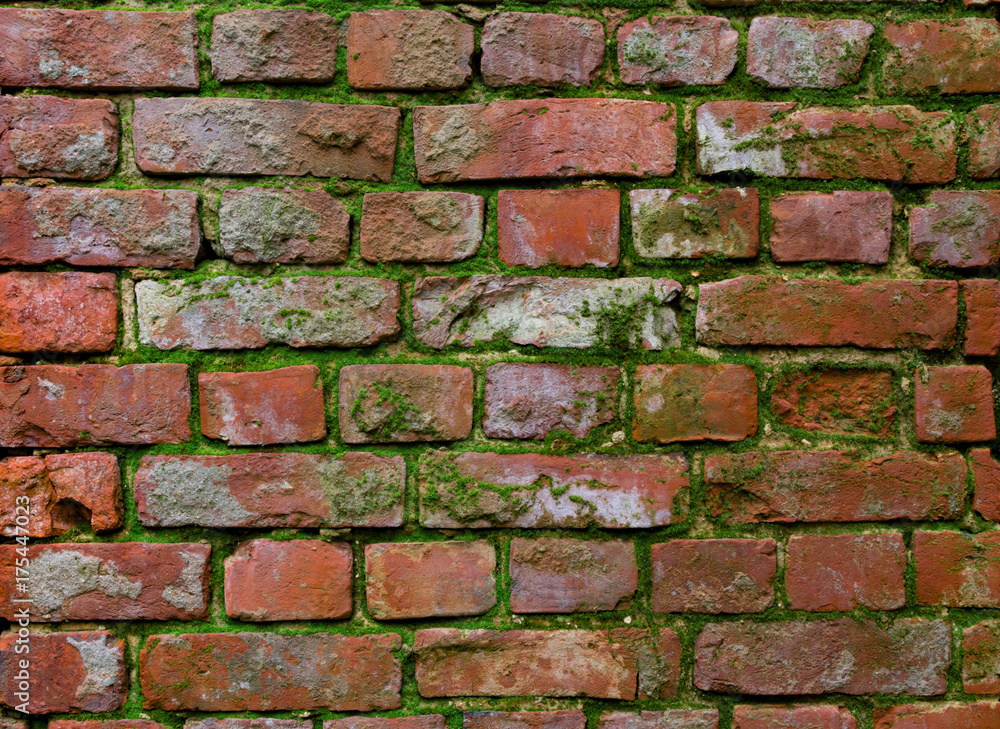 Old red brick wall with moss Old red brick wall with moss