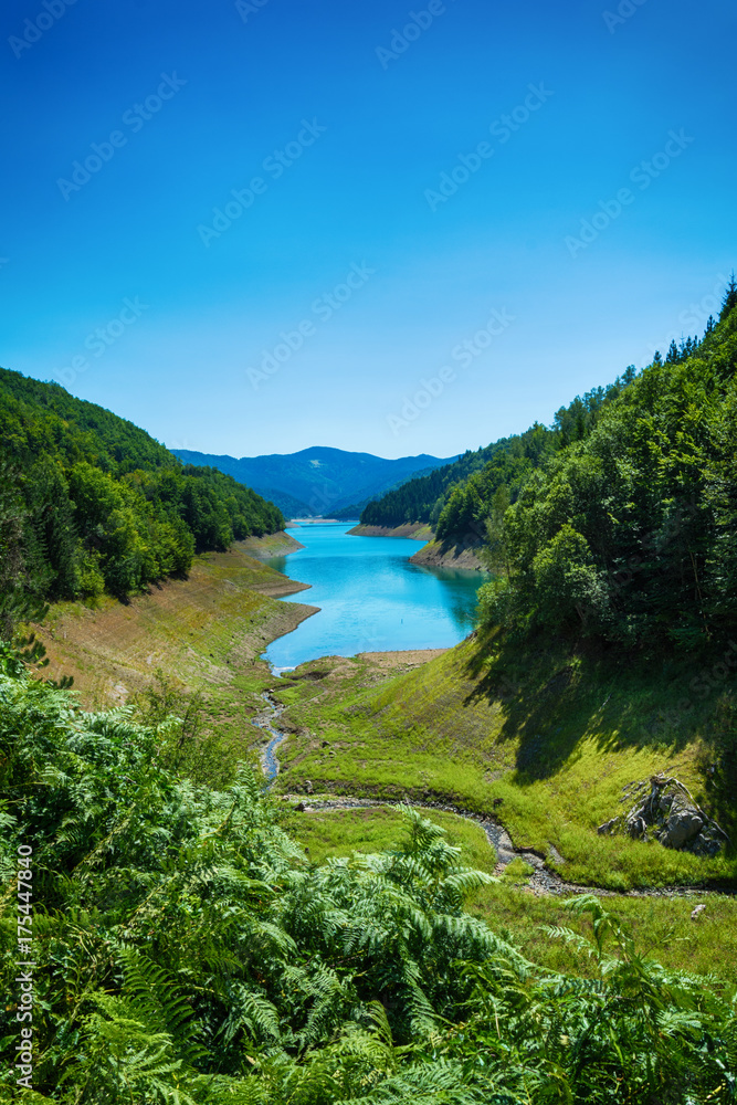 Naklejka premium Lake Zaovine in Serbia