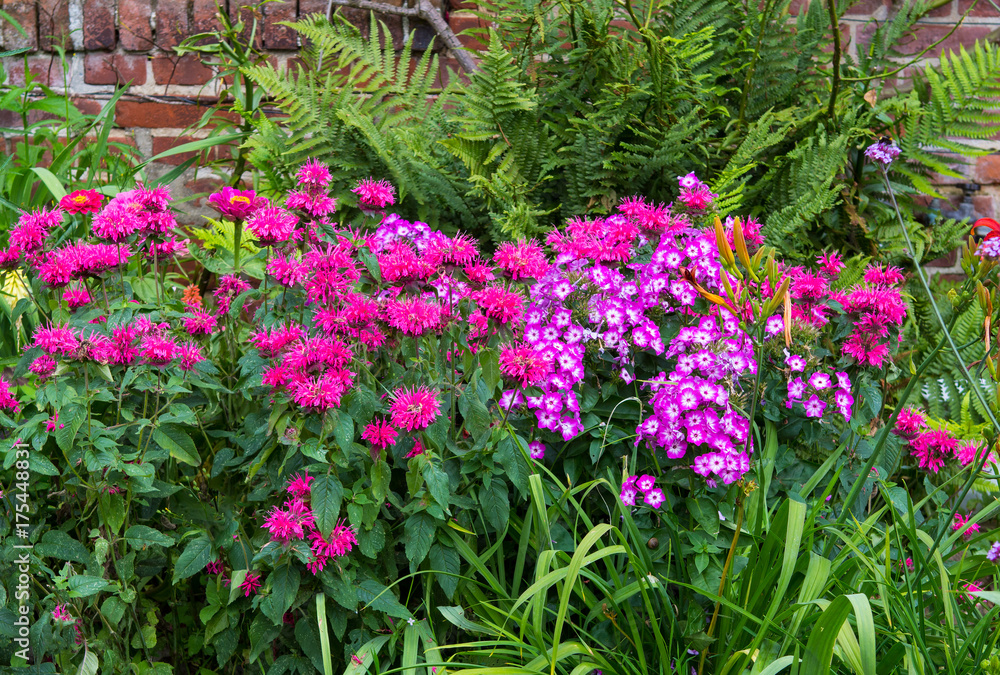 A colorful flowerbed. A colorful flowerbed.