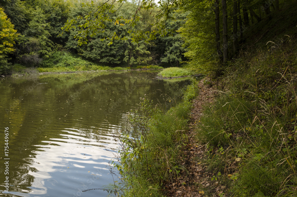blue sky fishing lake in nature, Hungarian forest blue sky fishing lake in nature, Hungarian forest