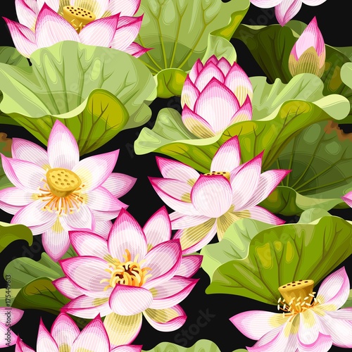 Seamless pattern with lotus flowers