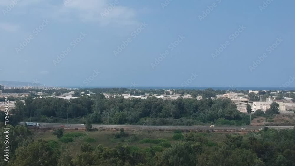 Highway between tree forest