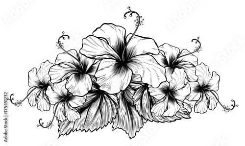 Hibiscus Flowers Vintage Style Woodcut Engraved Etching 