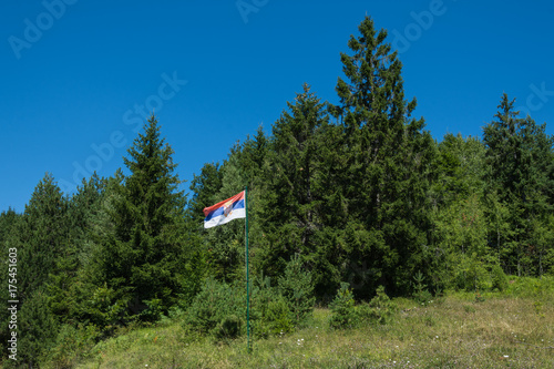 Obraz na plátně Serbian flag in nature