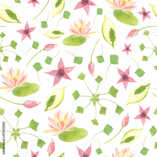 Watercolor wetland floral pattern with pink lily lotus white calla swamp red marshlocks and green water chestnut on white background