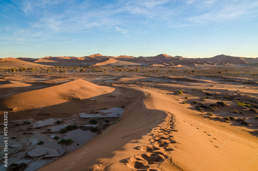 Beautiful towering red sand dunes at famous Deadvlei near Sossusvlei in Namib desert, Namibia, Southern Africa