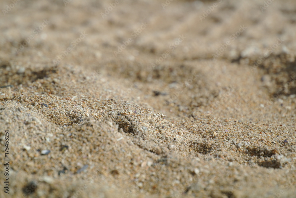 Sable Sable