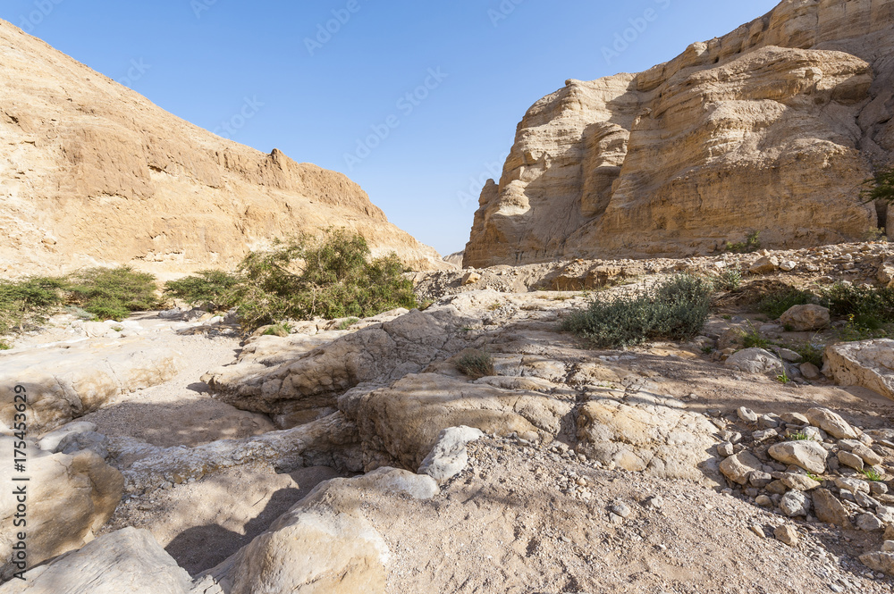 Fototapeta premium Stone desert in Israel