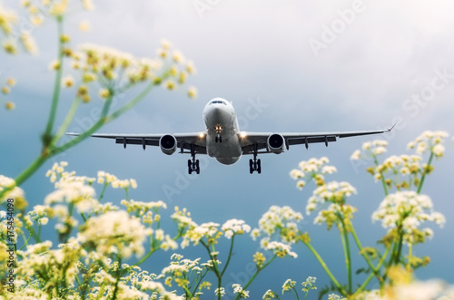 Plane passenger landing at the airport, the view with flowers.