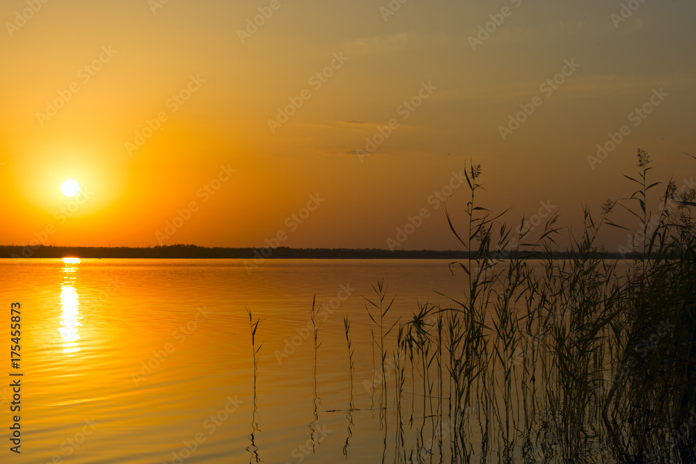Golden sunset over water