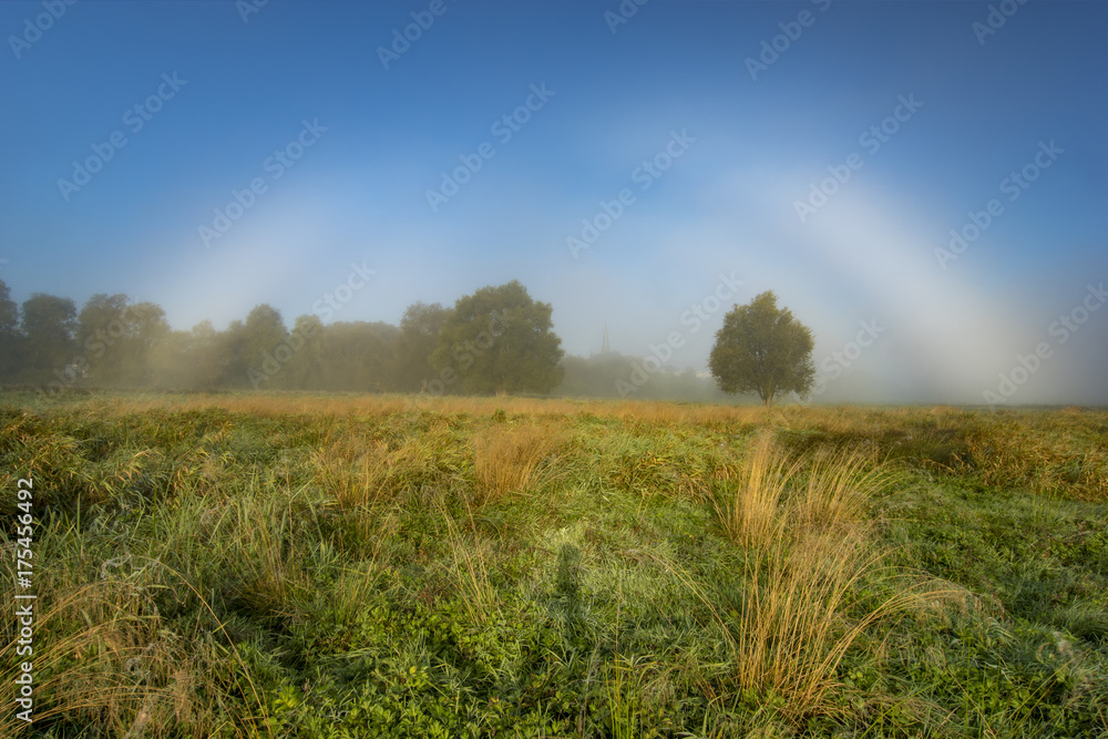Fog bow,Rainbow fog in the meadow