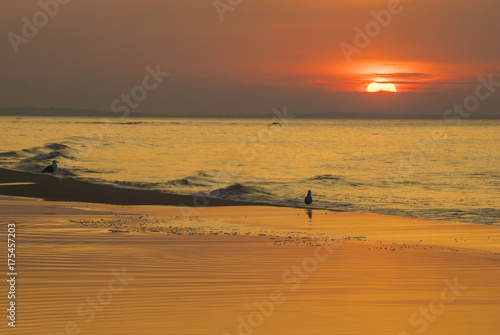 sunset over the sea  baltic sea  wolin island  Poland