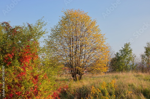 Jesienny krajobraz w Polsce