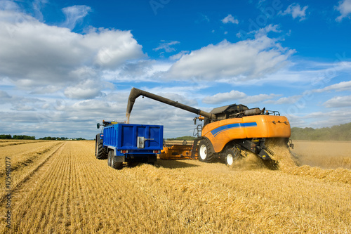 Combine harvester and tractor, harvesting wheat photo