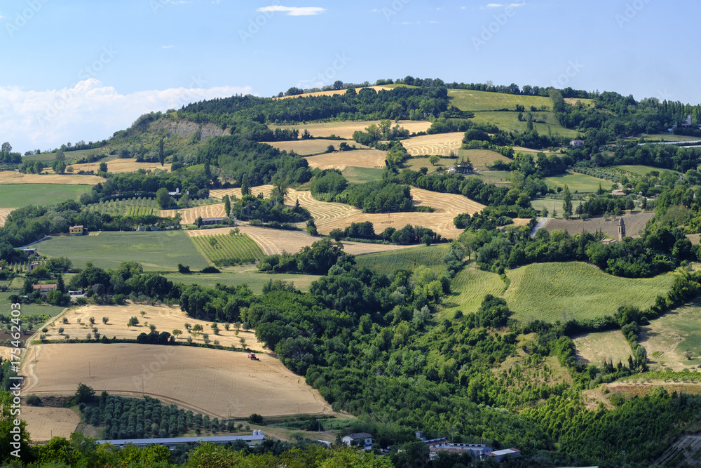 Landscape in Romagna at summer from Sogliano al Rubicone