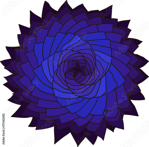 Fractal blue flower. Vector rose. Abstract star design element.