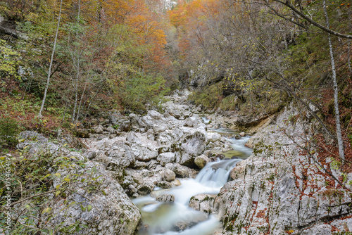 Savica river with a colorful autumn forest  Slovenia