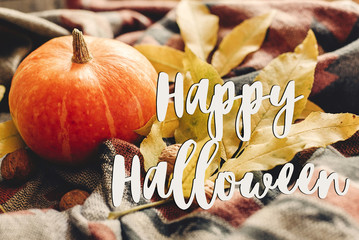 happy halloween text sign on autumn pumpkin with colorful leaves and walnuts on stylish hipster fabric scarf, space for text. seasonal greetings, fall holidays. harvest time. cozy mood