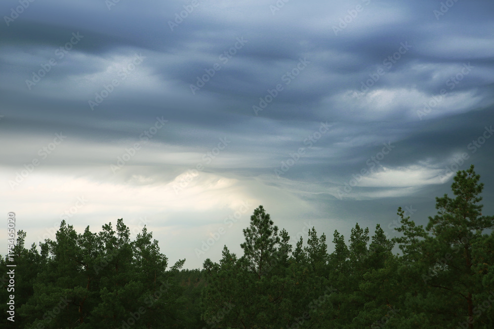 Clouds, fog in the mountains. Cyprus. Cedar Valley. Clouds, fog in the mountains. Cyprus. Cedar Valley.