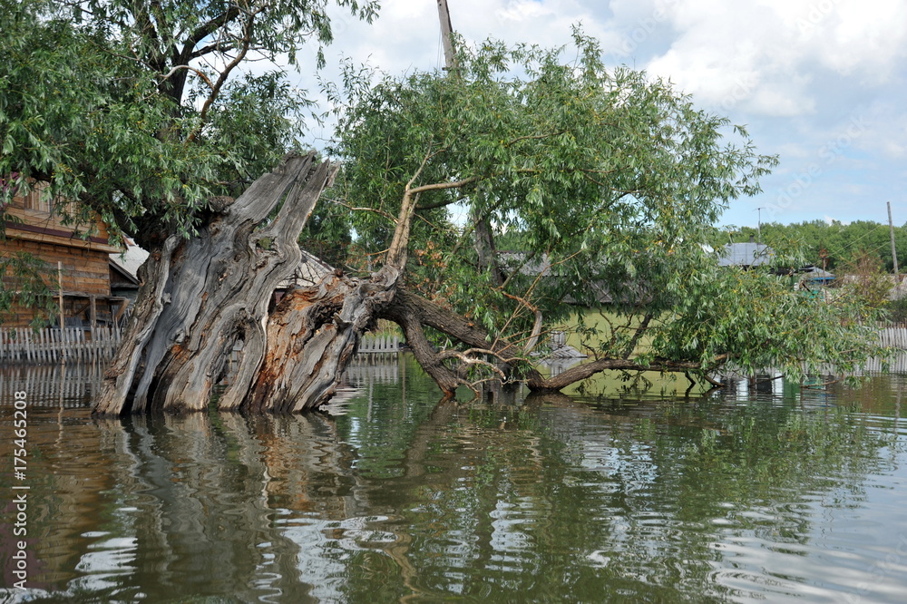 Flood. The river Ob, which emerged from the shores, flooded the outskirts of the city. Flood. The river Ob, which emerged from the shores, flooded the outskirts of the city.