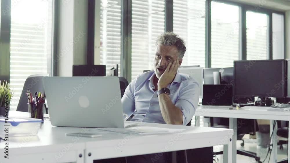 Mature businessman in the office making with laptop. Mature businessman in the office making with laptop.
