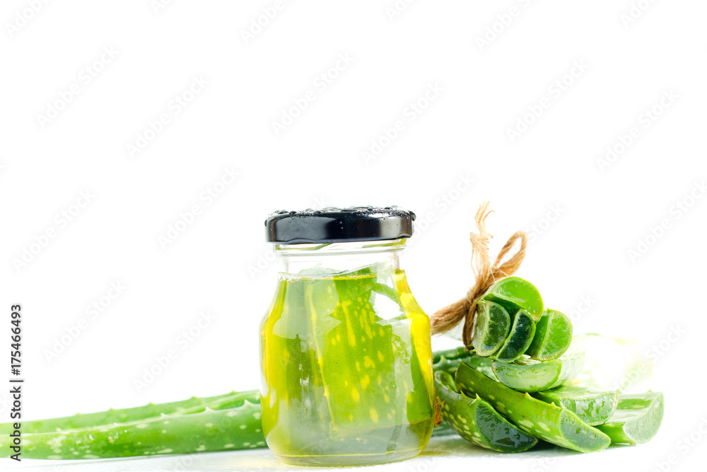 Aloe Vera herb on a white background Aloe Vera herb on a white background