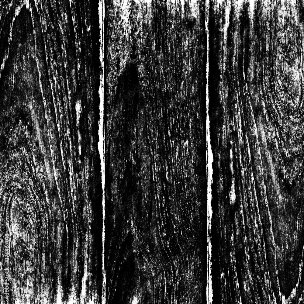 Obraz premium Old wood texture backround black and white