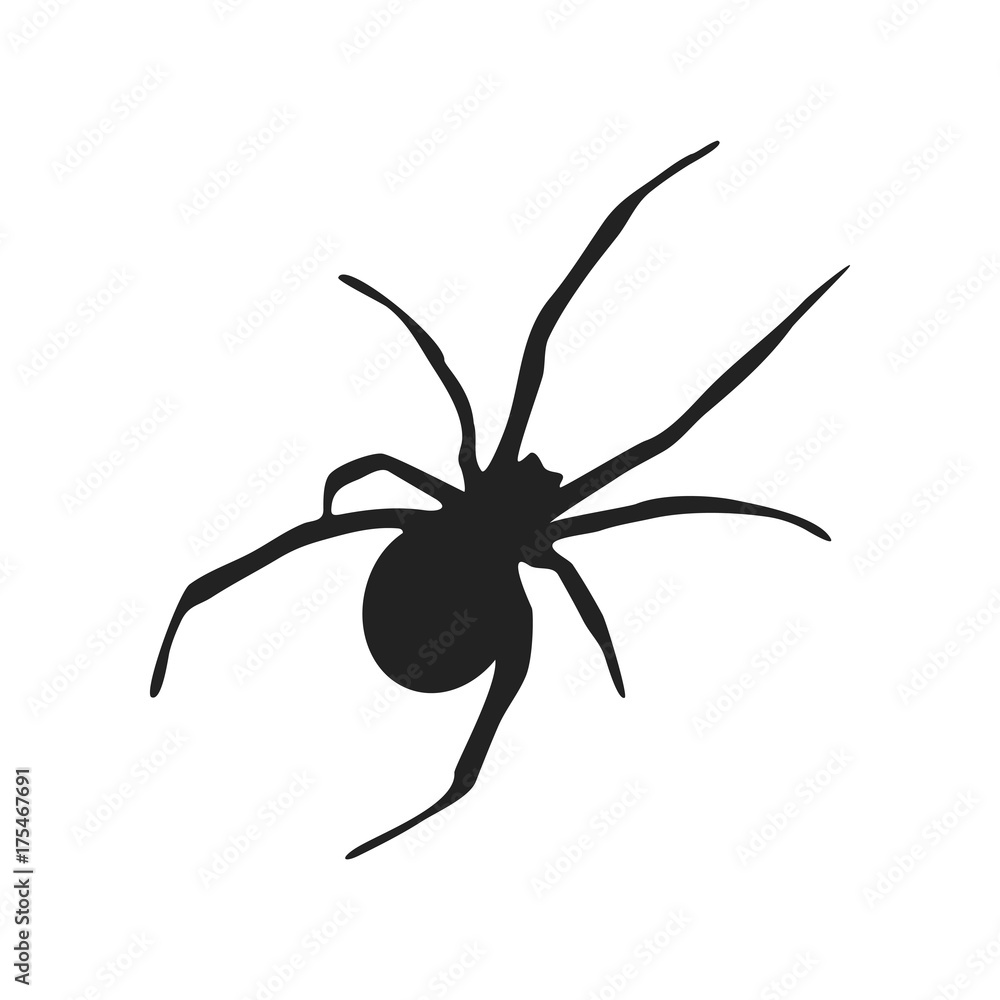 Spider Silhouette Icon Symbol Design. Vector illustration of spider isolated on white background. Halloween graphic. Spider Silhouette Icon Symbol Design. Vector illustration of spider isolated on white background. Halloween graphic.