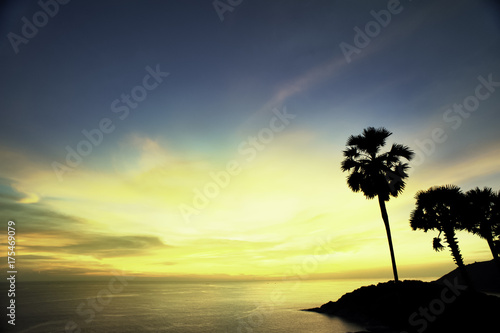 Tropical Palm Tree Sunset