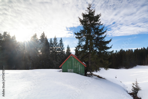 sunshine over snowy hill and wooden cabin © Olha Rohulya