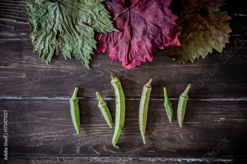 Fresh green okra on dark background  / Autumn concept photo