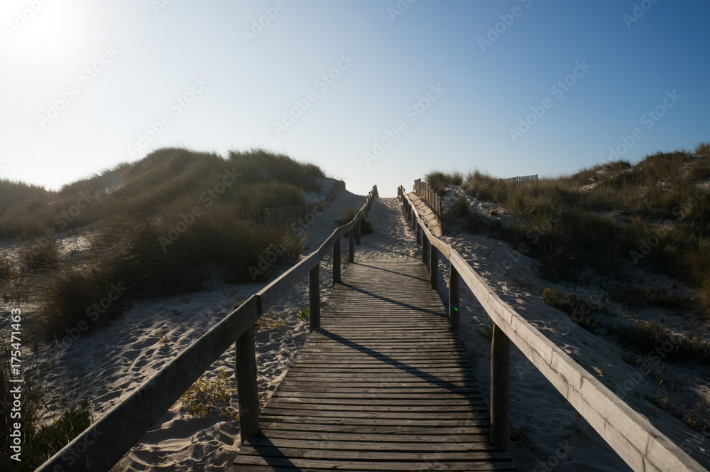 Small wooden path leading through the dunes of Tocha